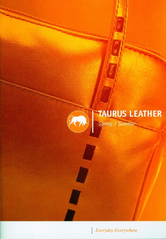 Taurus Cover
